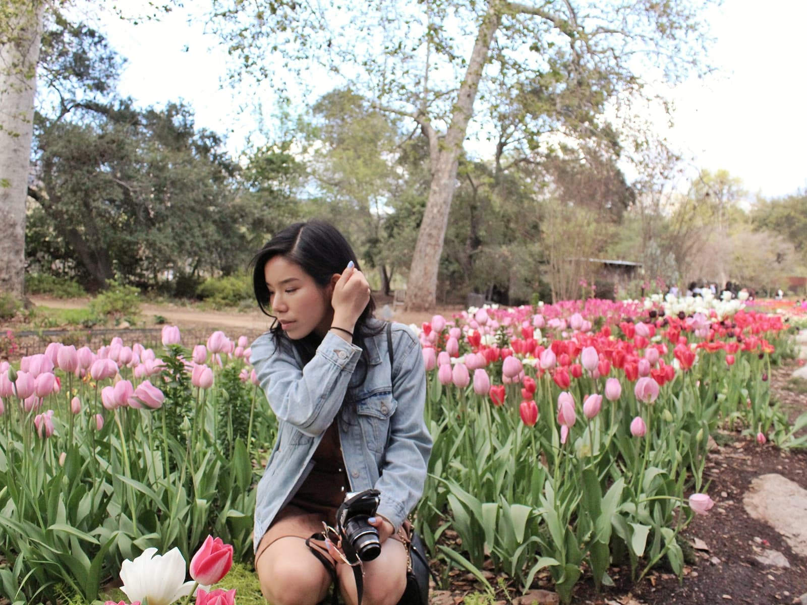 35266447_1960887017276838_2490147413164032000_n