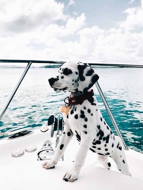 7b25ac231542e129b5e3de4a08f1df0e