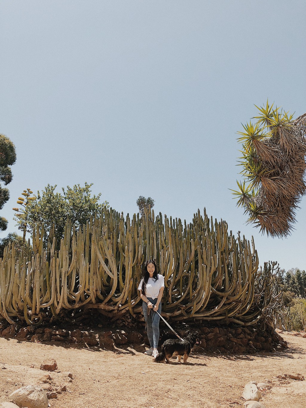 Video: San Diego Dog&nbsp;Day