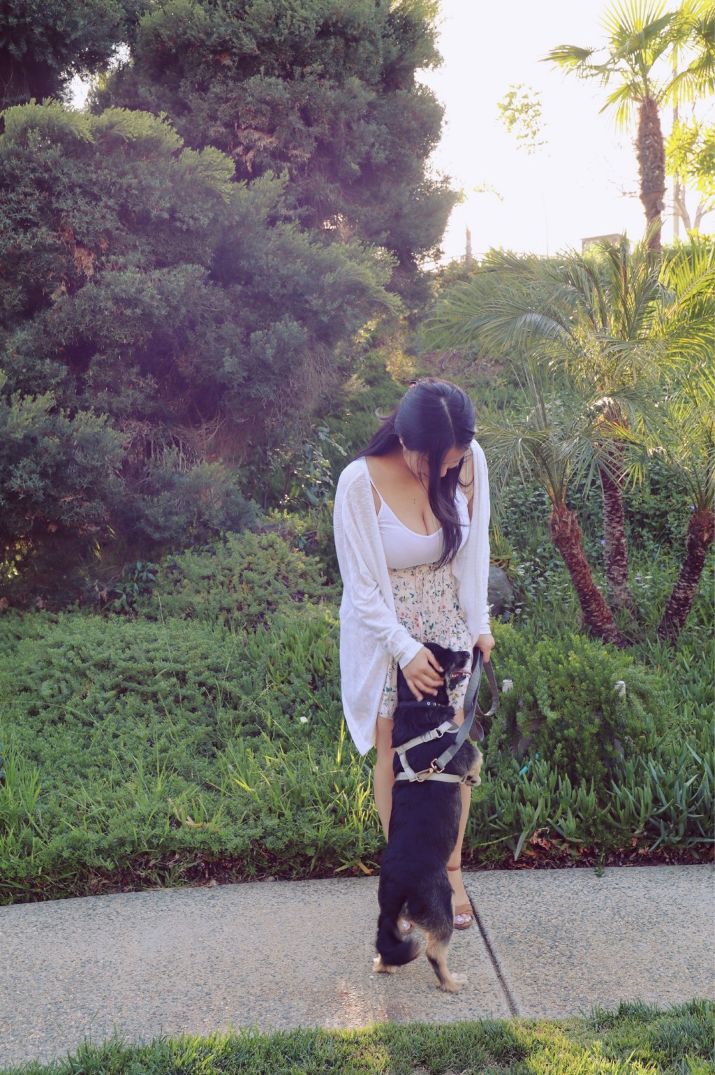 What I Recently Bought On&nbsp;Amazon!