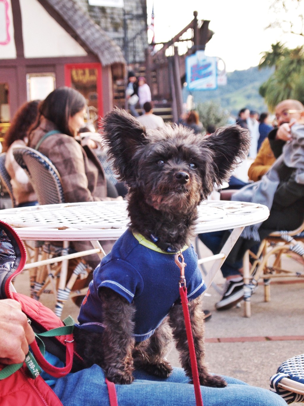 Taitai Takeover: Solvang